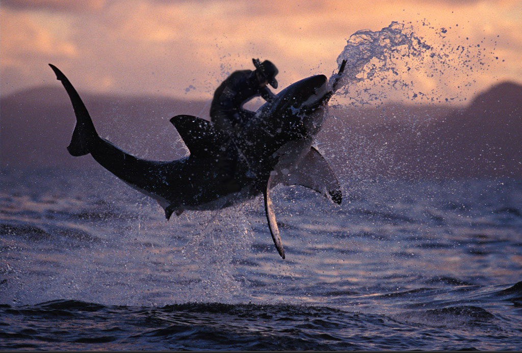 Photoshop Design by Dietcola for DesignCrowd (Community Contests) | Design #8947925