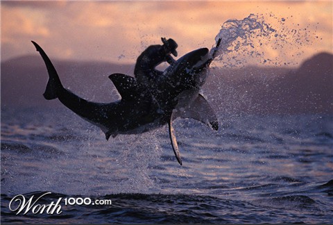 Photoshop Design by Dietcola