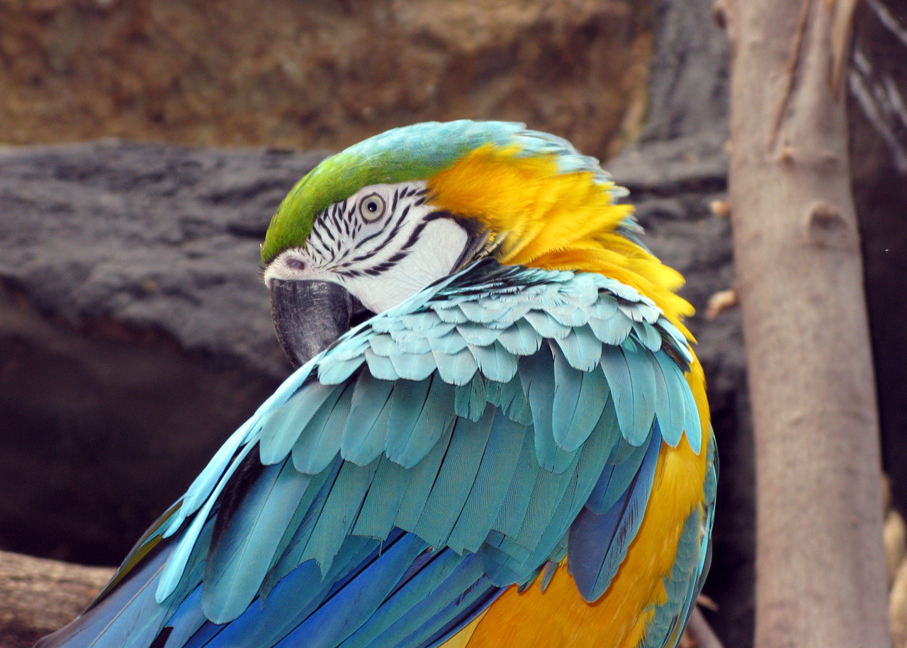 Photography by garettkipp for DesignCrowd (Community Contests) | Design #8940870