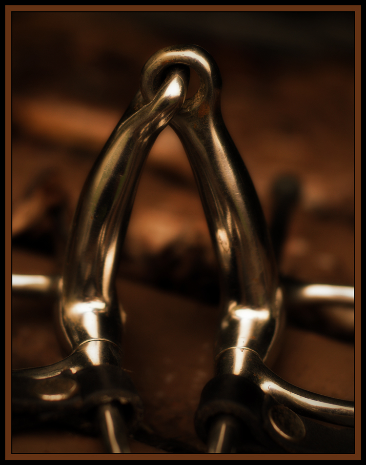 Photography by essjaynz for DesignCrowd (Community Contests) | Design #8942570