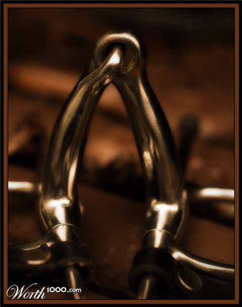 Photography by essjaynz