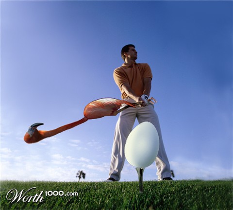 Photoshop Design by Rolo57