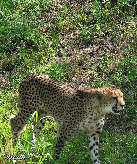 Photography by Rubees