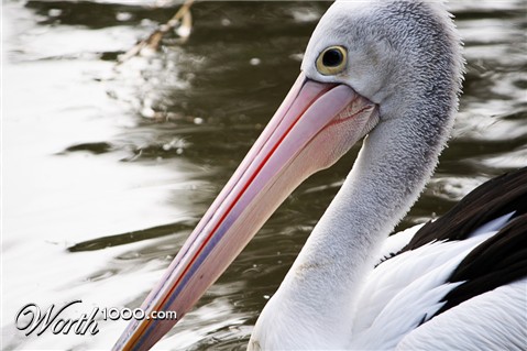 Photography by Qofcheez