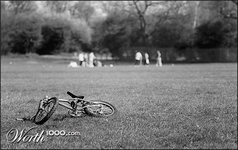 Photography by MrNelson