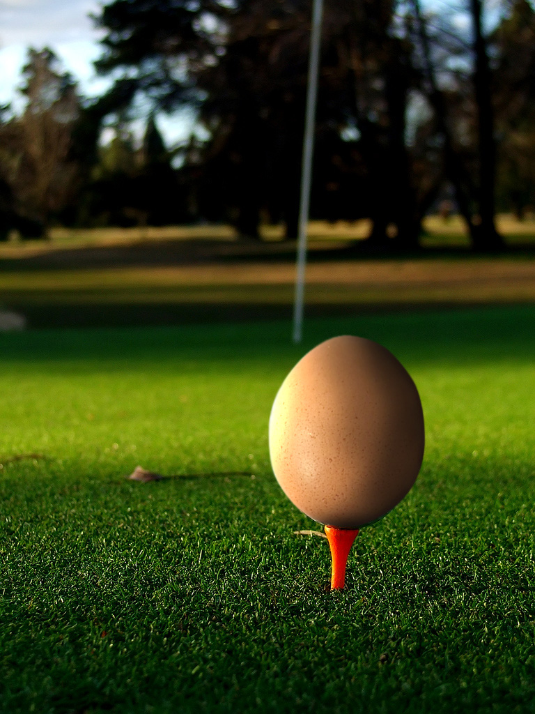 Photoshop Design by perroloco for DesignCrowd (Community Contests) | Design #8947904