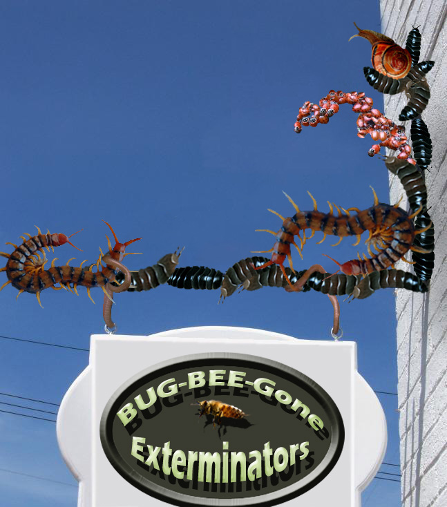 Design Photoshop par Photogerm pour DesignCrowd (Community Contests) | Design #8943005