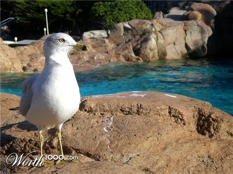 Photography by bestpicturesever