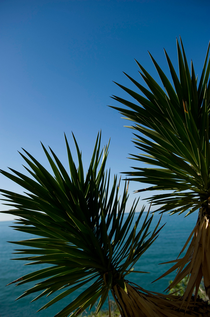 Photography by toscio for DesignCrowd (Community Contests) | Design #8943959
