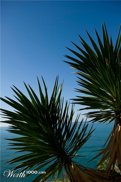 Photography by toscio