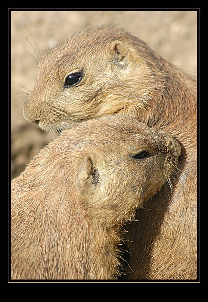 Photography by Fishcat for DesignCrowd (Community Contests) | Design #8943923