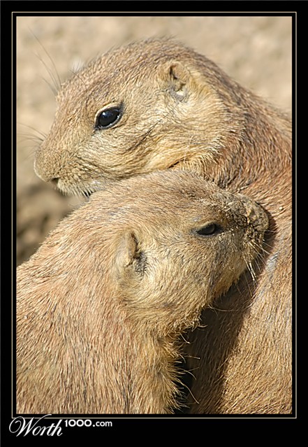 Photography by Fishcat