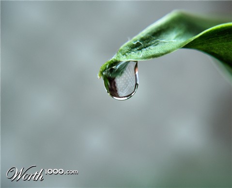 Photography by alxkueyar