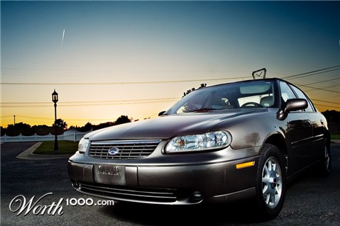 Photography by burns529