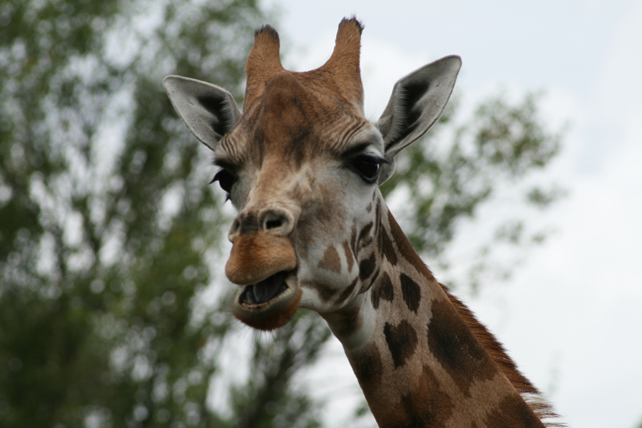 Photography by emandan for DesignCrowd (Community Contests) | Design #8940812