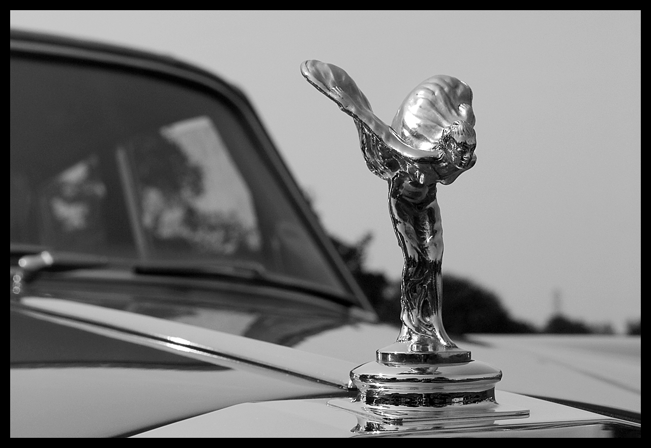 Fotografie von MrNelson für DesignCrowd (Community Contests) | Design #8940281