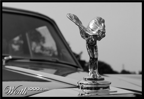 Photography by MrNelson