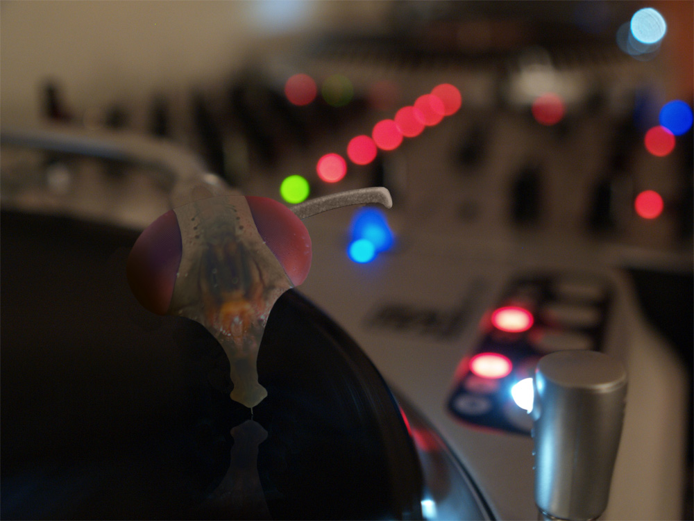 Photoshop Design by marcopolo23 for DesignCrowd (Community Contests) | Design #8943019