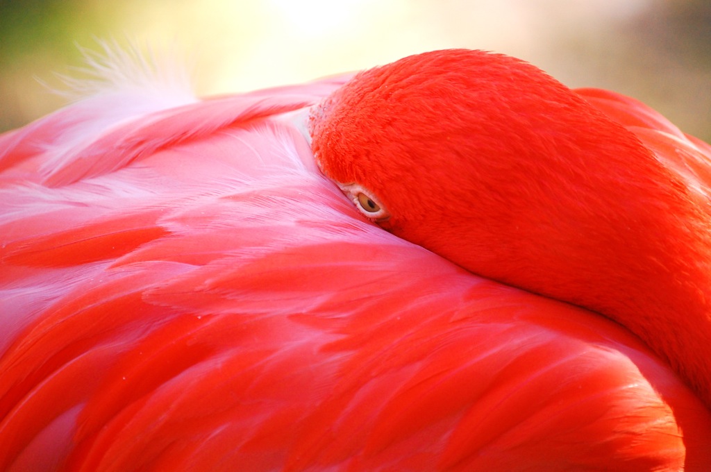 Photography by chronus24 for DesignCrowd (Community Contests) | Design #8941069