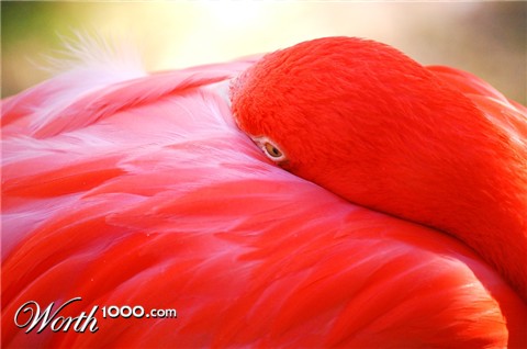 Photography by chronus24