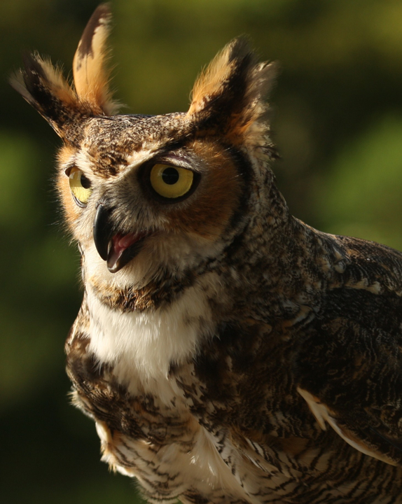 Photography by Oceanicy for DesignCrowd (Community Contests) | Design #8941172