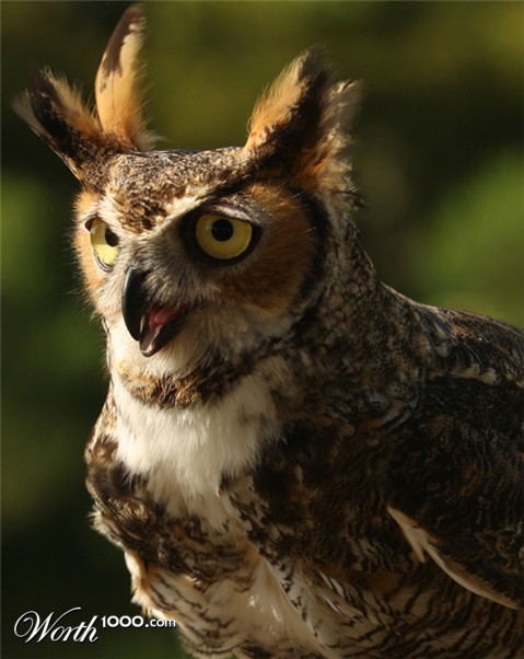 Photography by Oceanicy