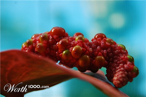 Photography by flypart