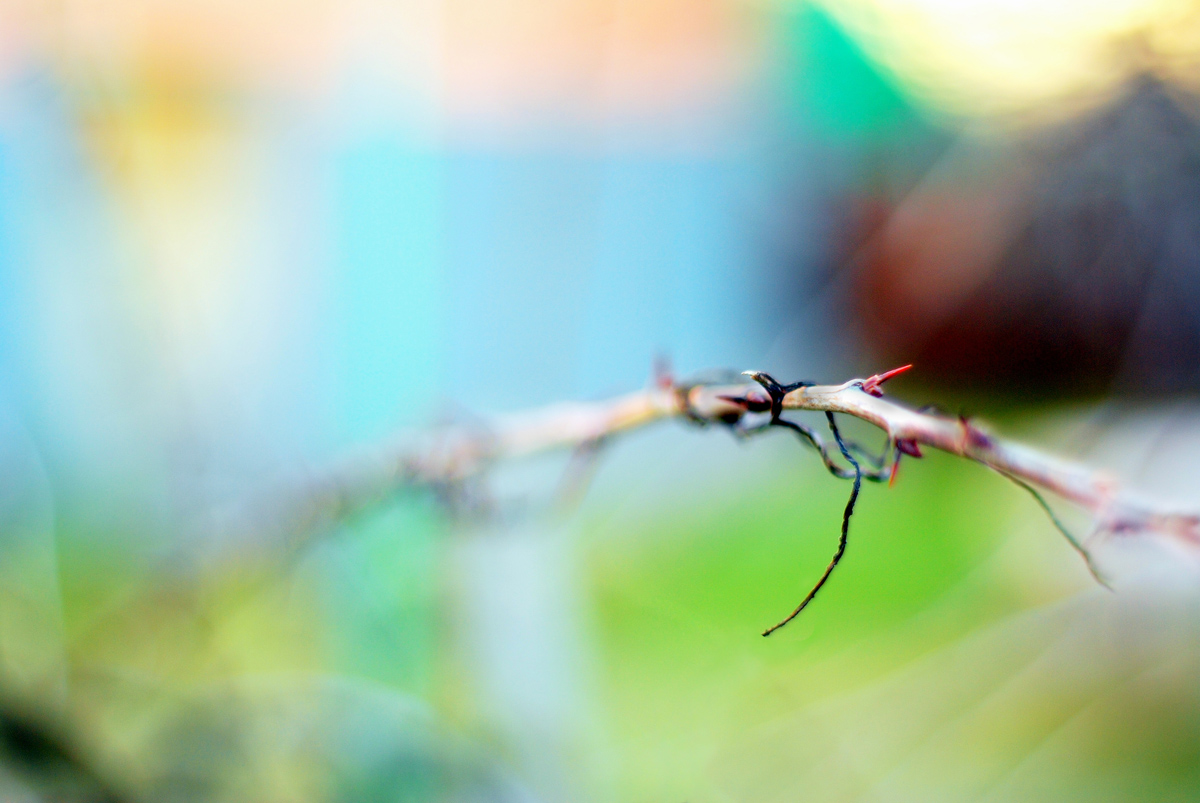 Photography by Gedas Meskunas for DesignCrowd (Community Contests) | Design #8947051