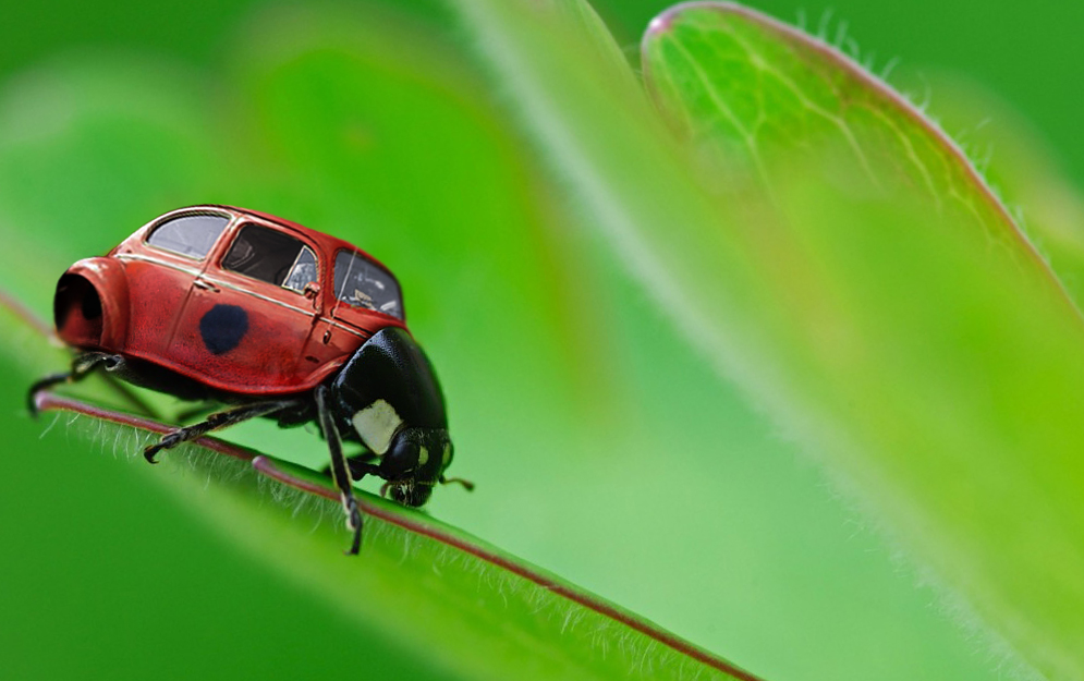 Photoshop Design by Justincorkum7 for DesignCrowd (Community Contests) | Design #8943047