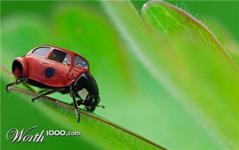 Photoshop Design by Justincorkum7