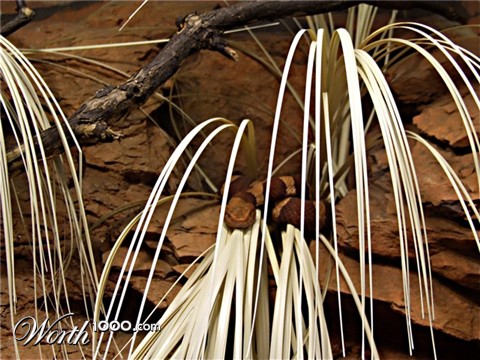 Photography by Audrey Kerchner