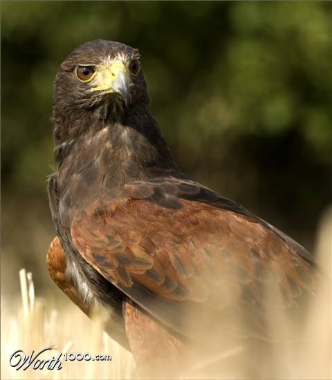 Photography by Rvannith