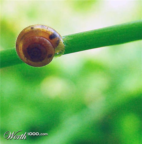 Photography by AlanHauge