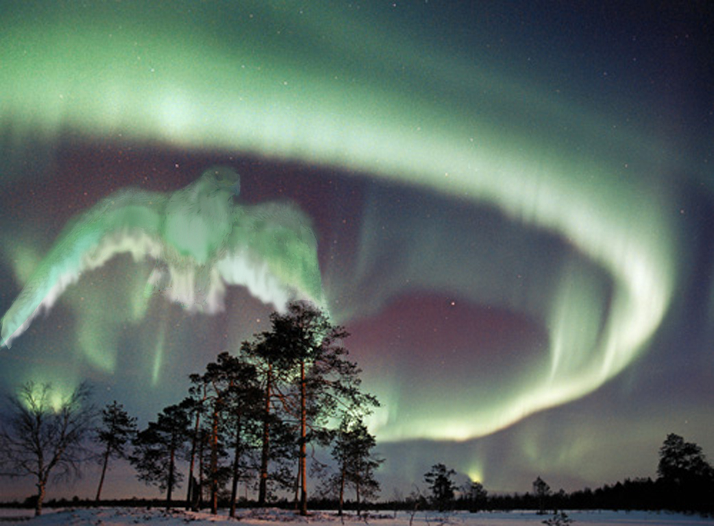 Photoshop Design by maddiemay for DesignCrowd (Community Contests) | Design #8940689