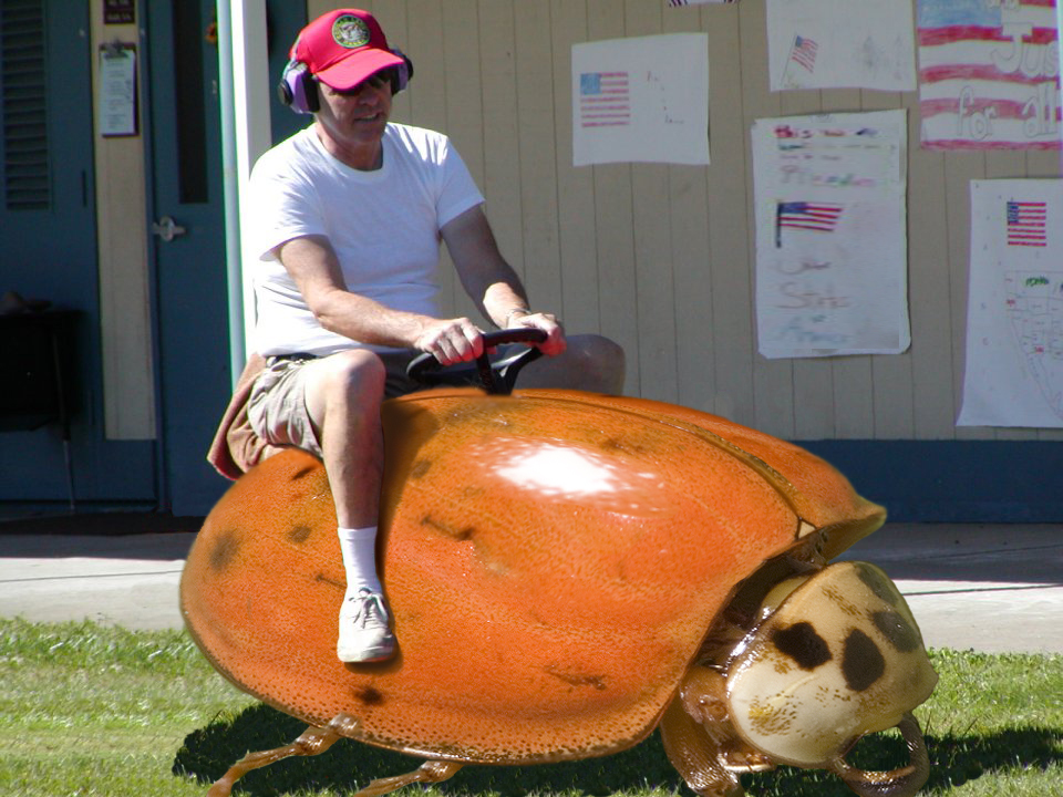 Photoshop-Design von madscotsman für DesignCrowd (Community Contests) | Design #8943107