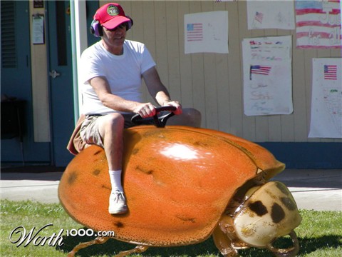 Photoshop Design by madscotsman