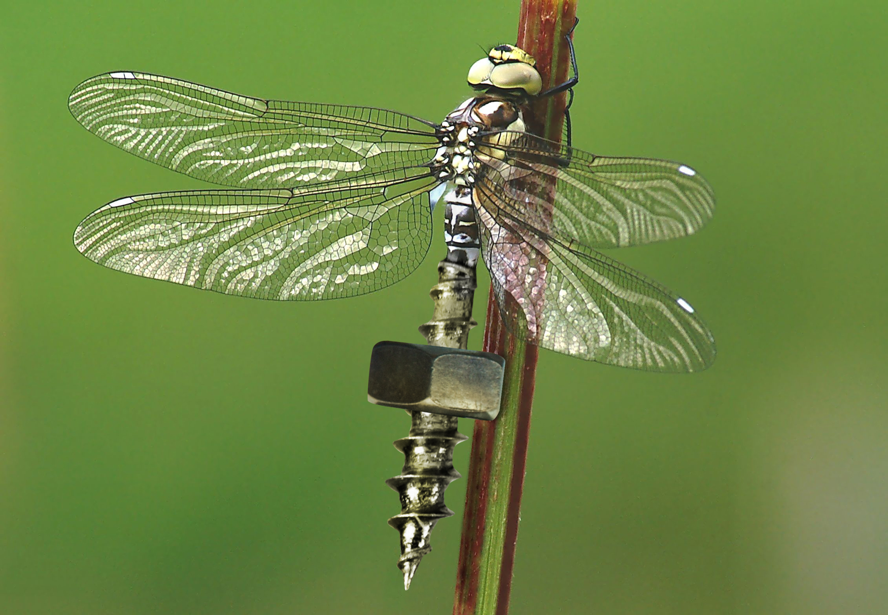 Photoshop-Design von PixelTestMT für DesignCrowd (Community Contests) | Design #8943112