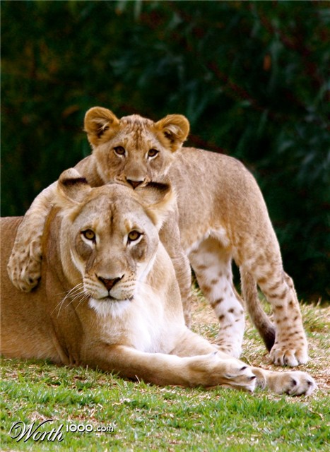 Photography by jester11221122