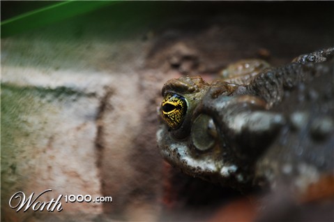 Photography by flypart