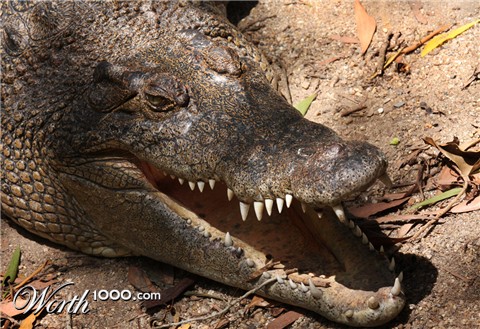 Photography by onevia01