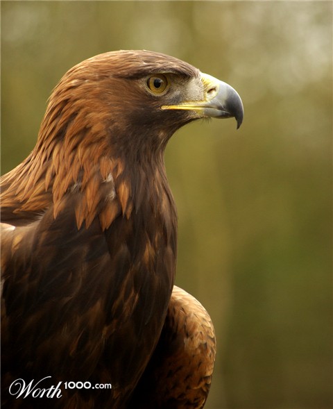 Photography by Rvannith