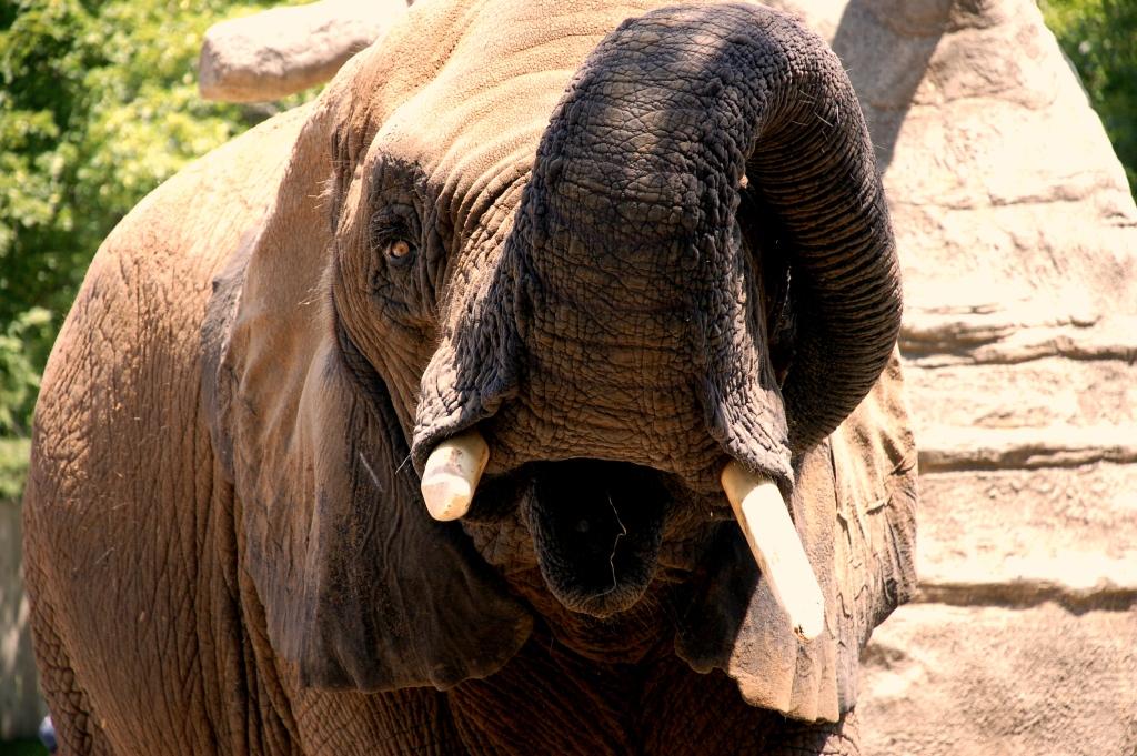 Photography by Schanina for DesignCrowd (Community Contests) | Design #8941154