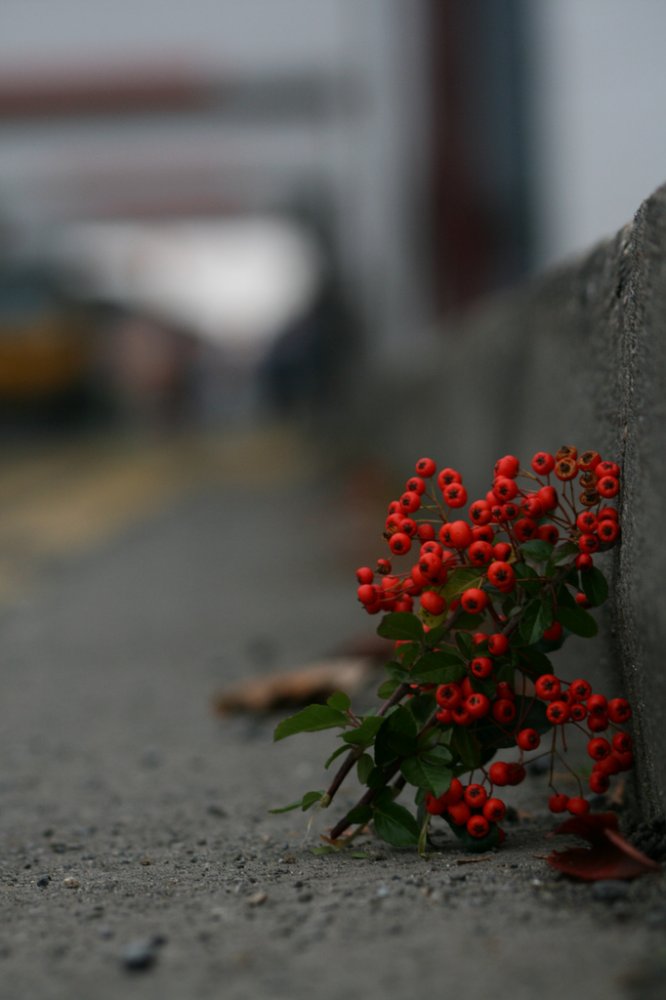 Photography by Garygalway for DesignCrowd (Community Contests) | Design #8947040