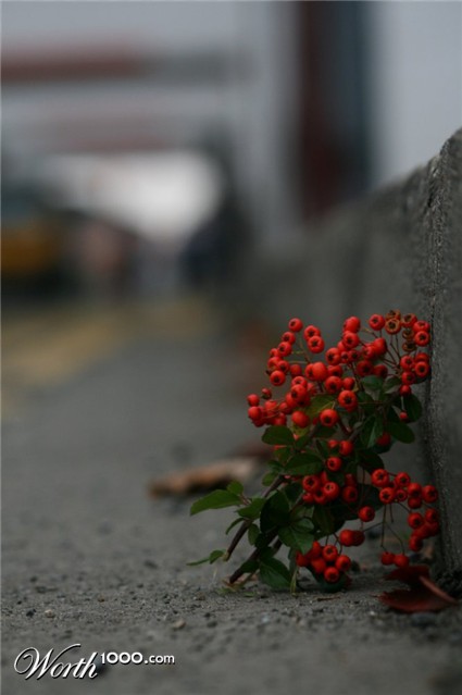 Photography by Garygalway