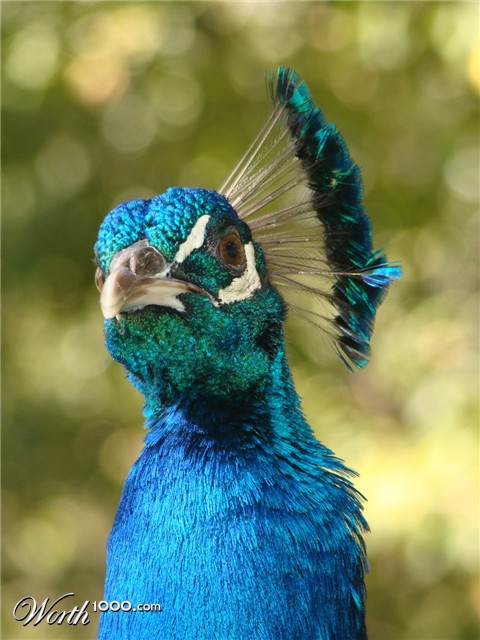 Photography by Eirita