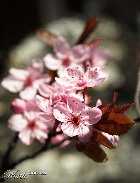 Photography by oruart