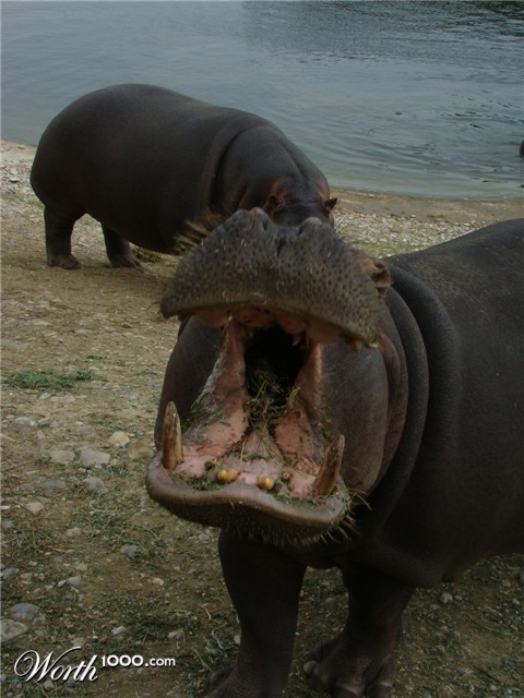 Photography by Eirita