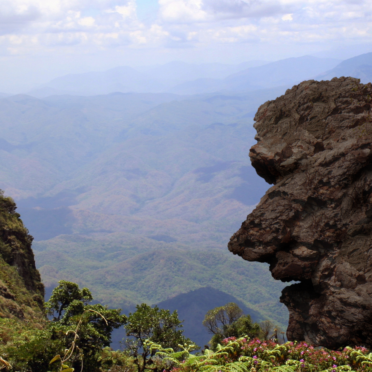 Photoshop Design by paradox412 for DesignCrowd (Community Contests) | Design #8940796