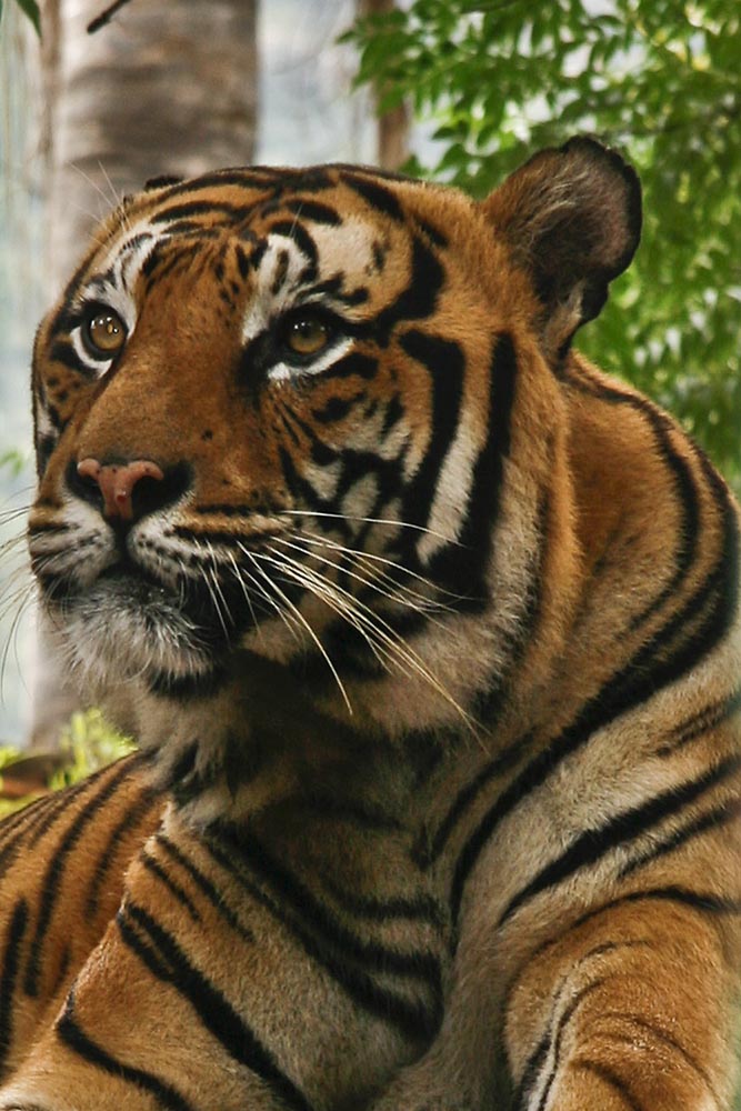 Photography by lynvdg for DesignCrowd (Community Contests) | Design #8941025