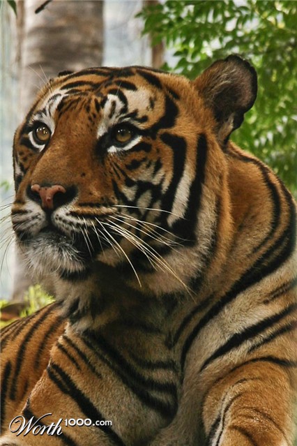 Photography by lynvdg